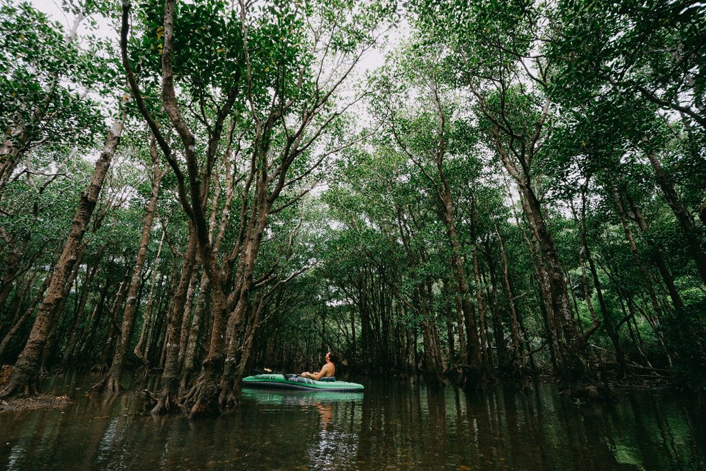 🌿 이시가키 섬 과학 정원 (이시가키지마 사이언스 가덴) 이미지 5